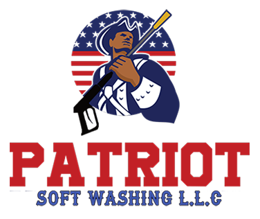 Patriot Soft Washing Logo